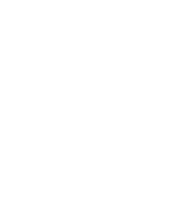 Mea Veritas